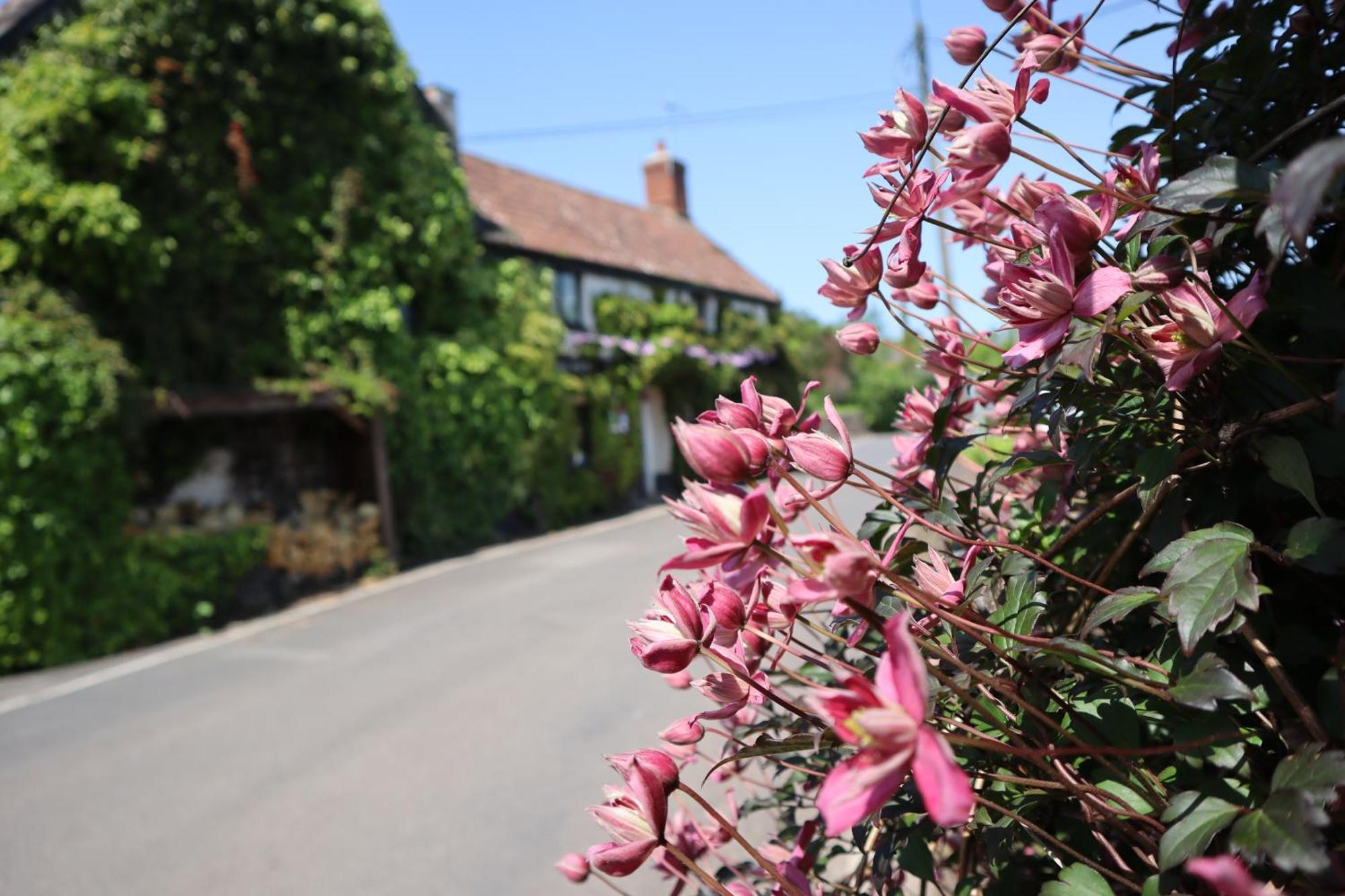 The White Horse Inn Washford Exterior photo