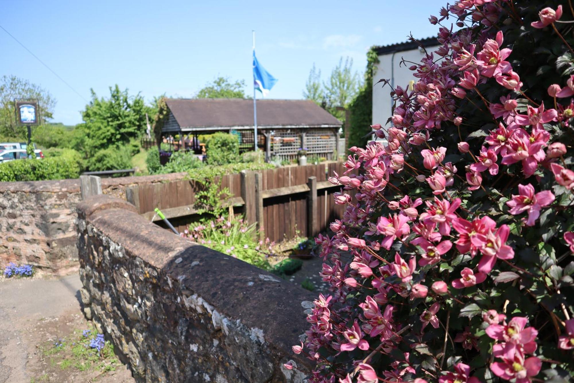 The White Horse Inn Washford Exterior photo